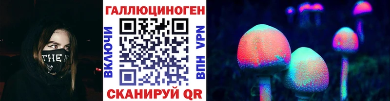 где найти наркотики  Королёв  Псилоцибиновые грибы GOLDEN TEACHER 